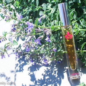 A Natural Fragrance Stepping Stone: Lavanila Vanilla-Grapefruit Perfume